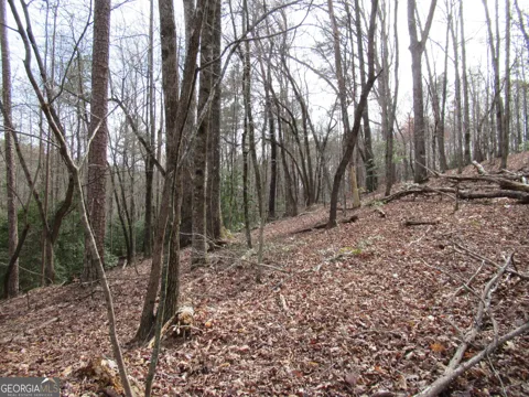 0 Long Branch RD