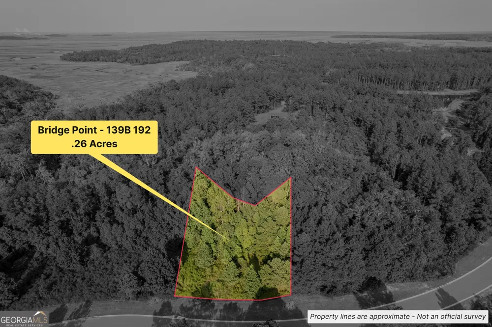 LOT 192 Bridge View LN Waverly, GA 31565