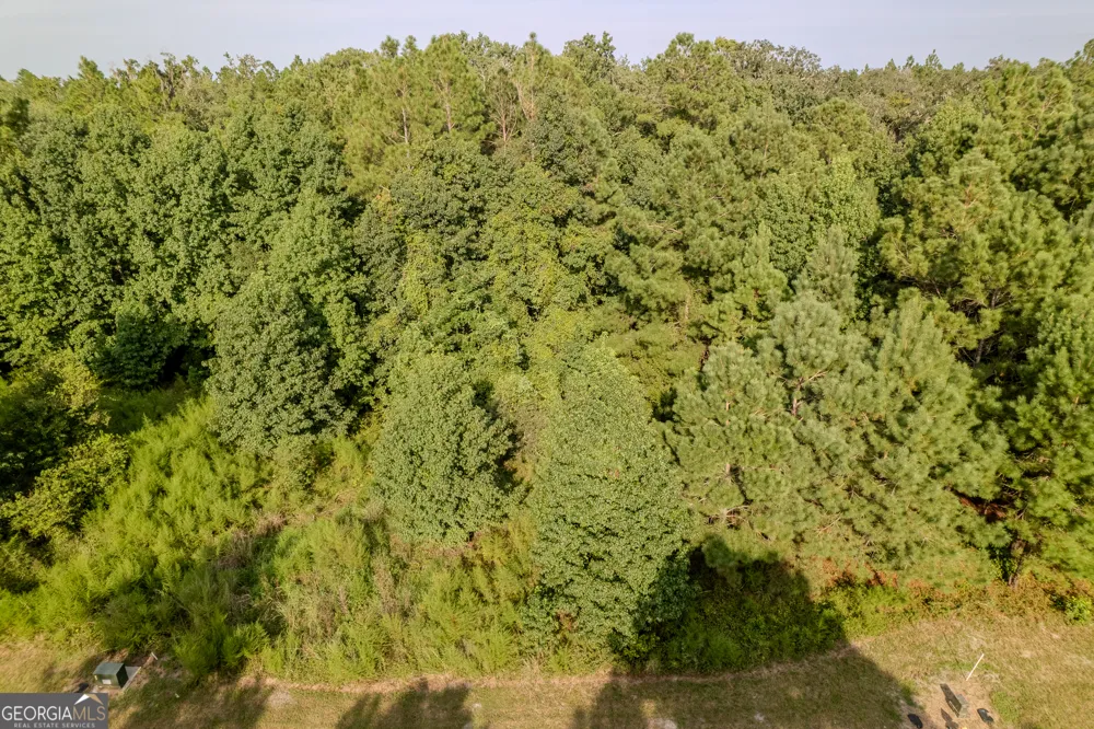 LOT 192 Bridge View LN Waverly, GA 31565