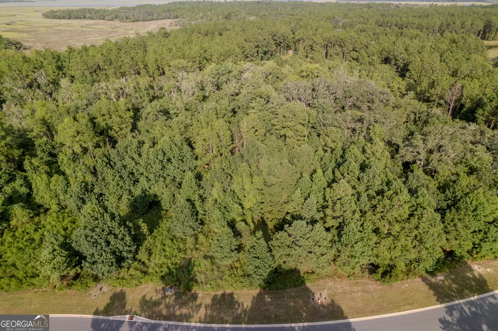 LOT 192 Bridge View LN Waverly, GA 31565