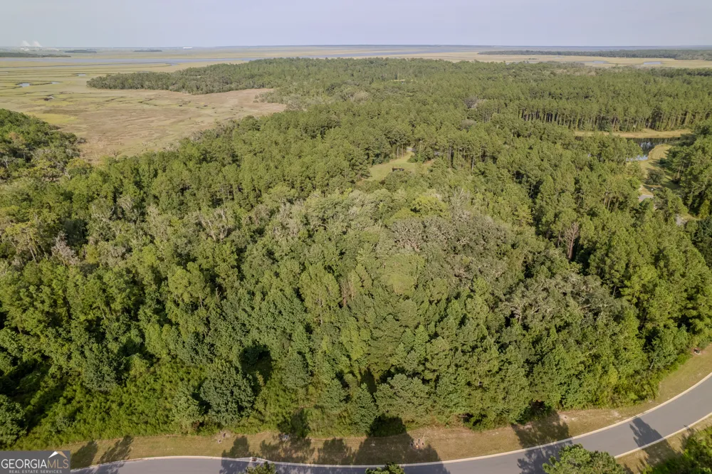 LOT 192 Bridge View LN Waverly, GA 31565