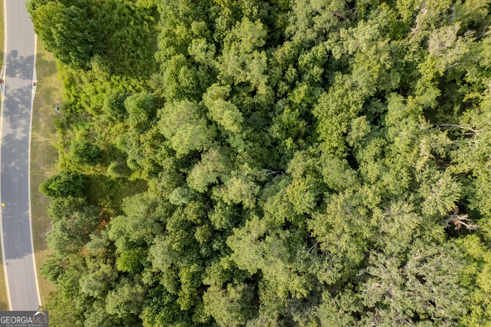 LOT 192 Bridge View LN Waverly, GA 31565
