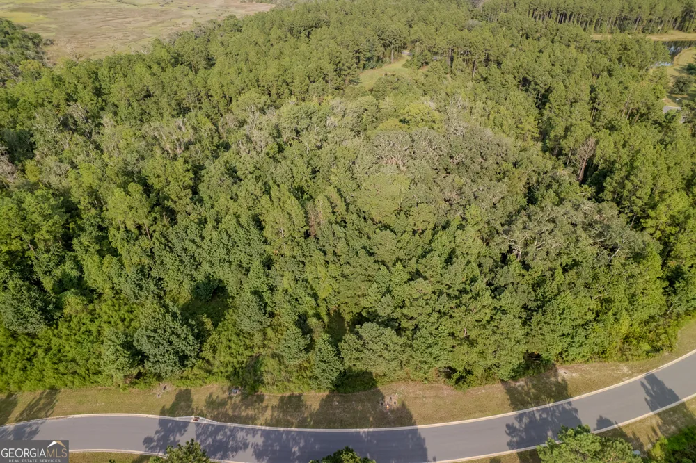 LOT 192 Bridge View LN Waverly, GA 31565