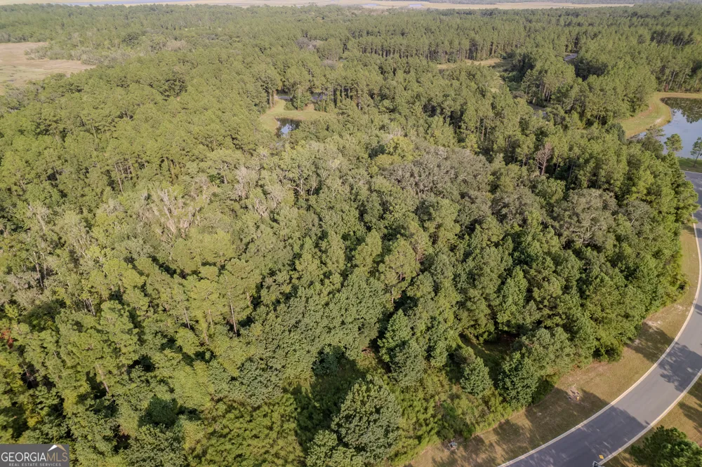LOT 192 Bridge View LN Waverly, GA 31565