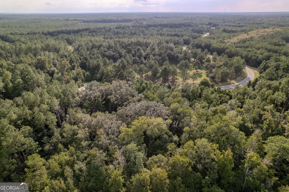 LOT 192 Bridge View LN Waverly, GA 31565