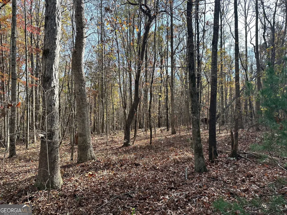 4230 Hollywood Hwy Clarkesville, GA 30523