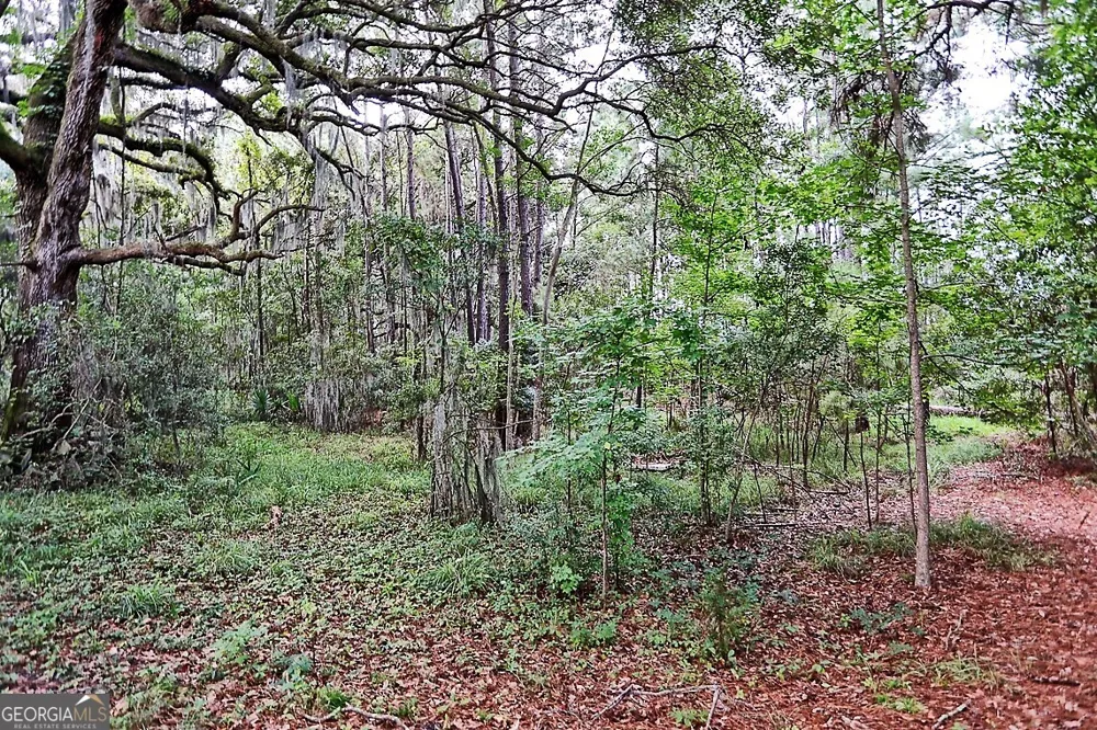 199 Burton RD Savannah, GA 31405