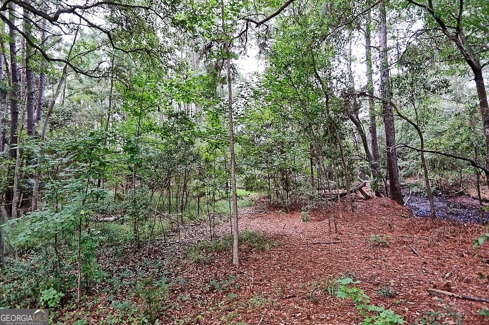 199 Burton RD Savannah, GA 31405