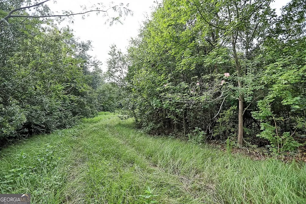 199 Burton RD Savannah, GA 31405