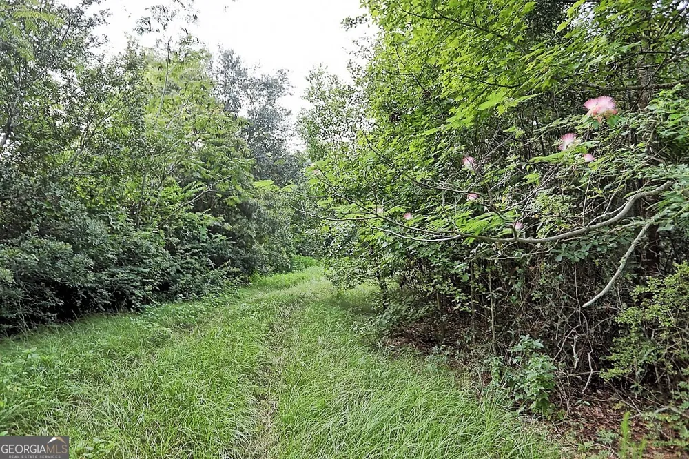 199 Burton RD Savannah, GA 31405