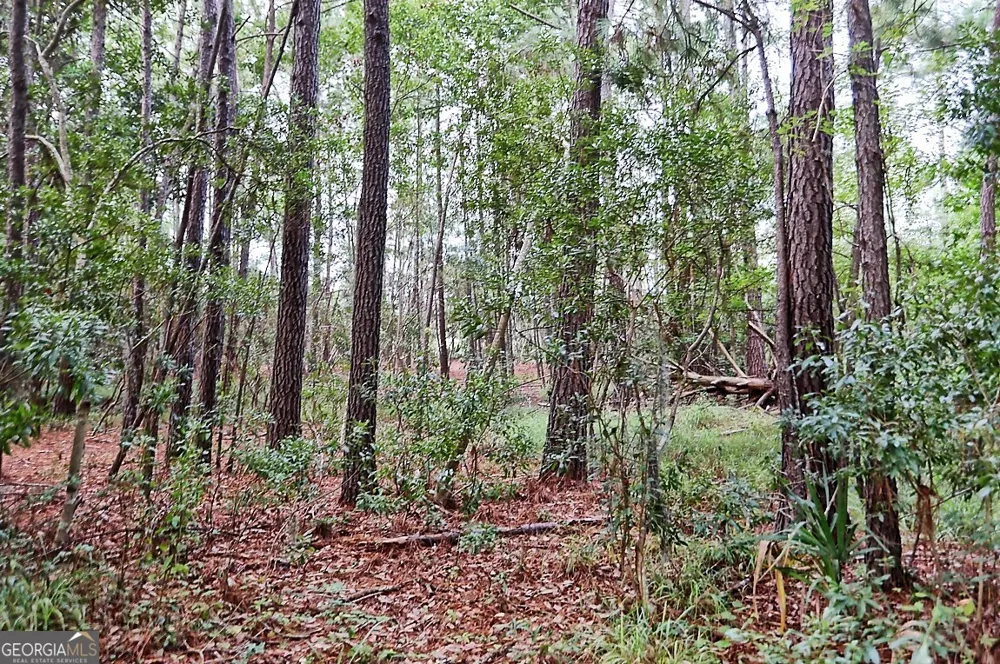 199 Burton RD Savannah, GA 31405