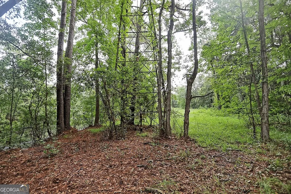 199 Burton RD Savannah, GA 31405