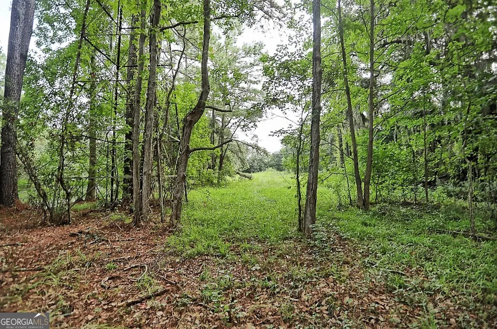 199 Burton RD Savannah, GA 31405