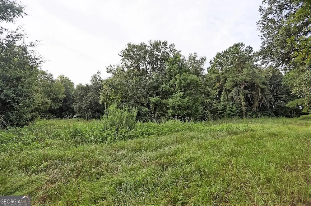 199 Burton RD Savannah, GA 31405