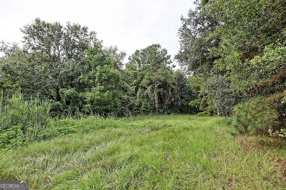 199 Burton RD Savannah, GA 31405
