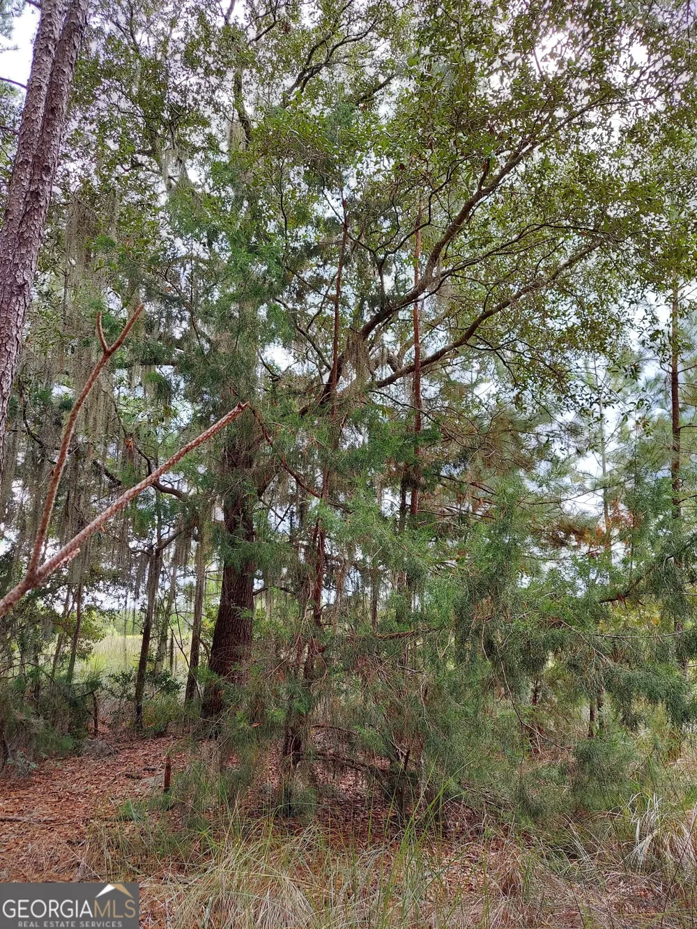 199 Burton RD Savannah, GA 31405