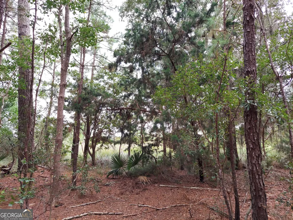 199 Burton RD Savannah, GA 31405
