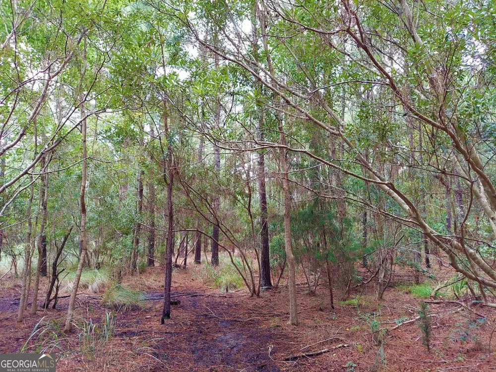 199 Burton RD Savannah, GA 31405