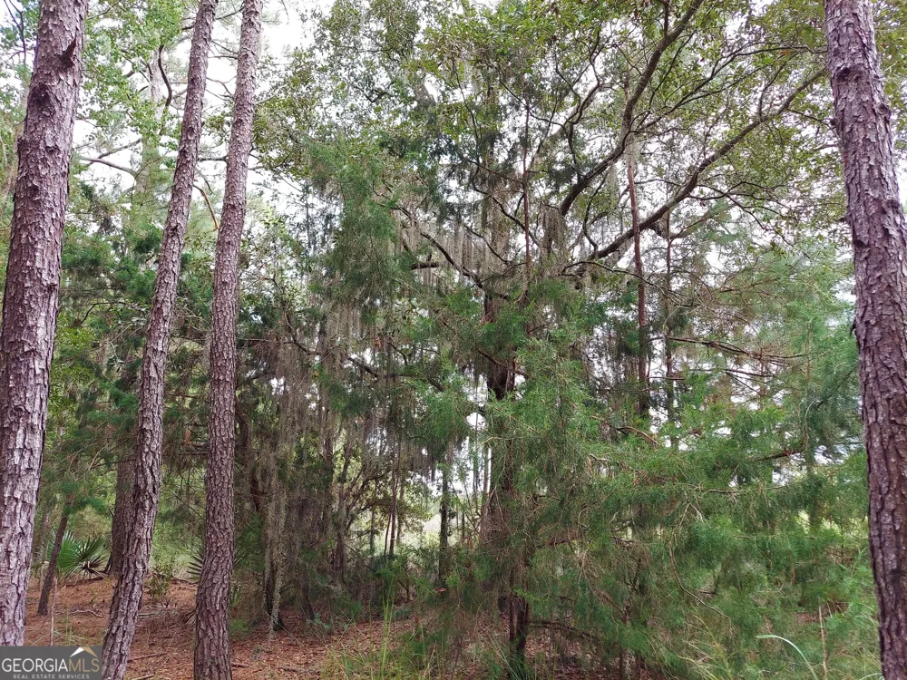 199 Burton RD Savannah, GA 31405