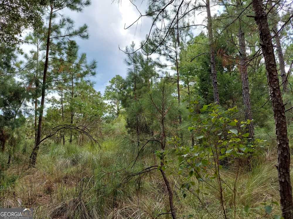 199 Burton RD Savannah, GA 31405