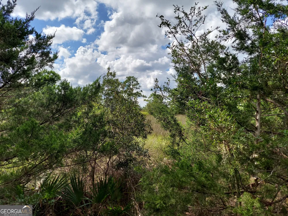 199 Burton RD Savannah, GA 31405