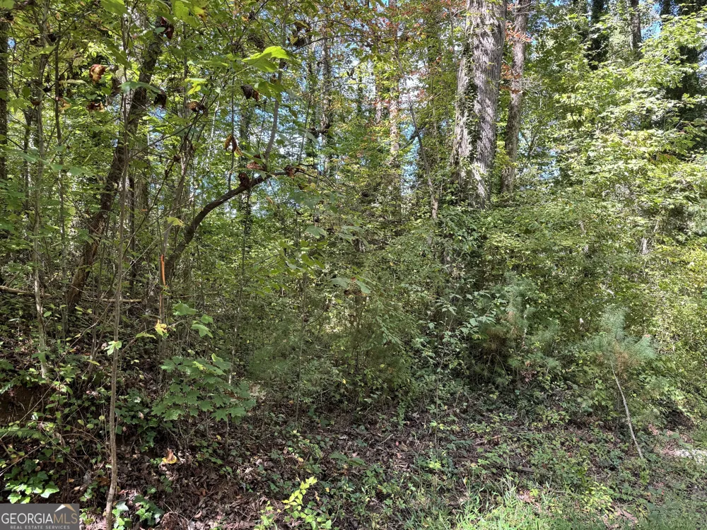 0 Post Oak Clayton, GA 30525