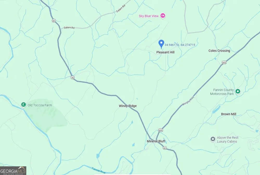0 Piney RD Mineral Bluff, GA 30559