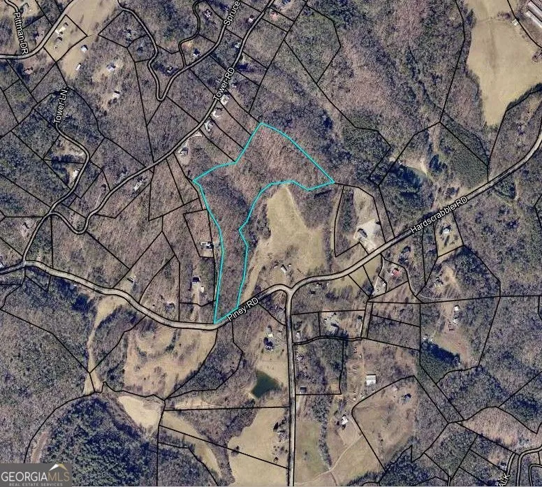 0 Piney RD Mineral Bluff, GA 30559