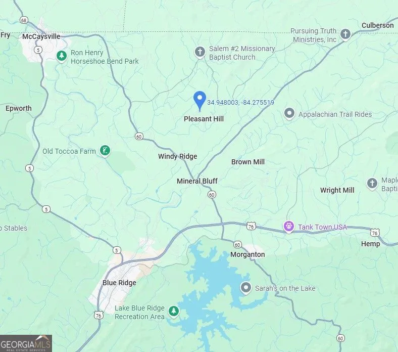 0 Piney RD Mineral Bluff, GA 30559