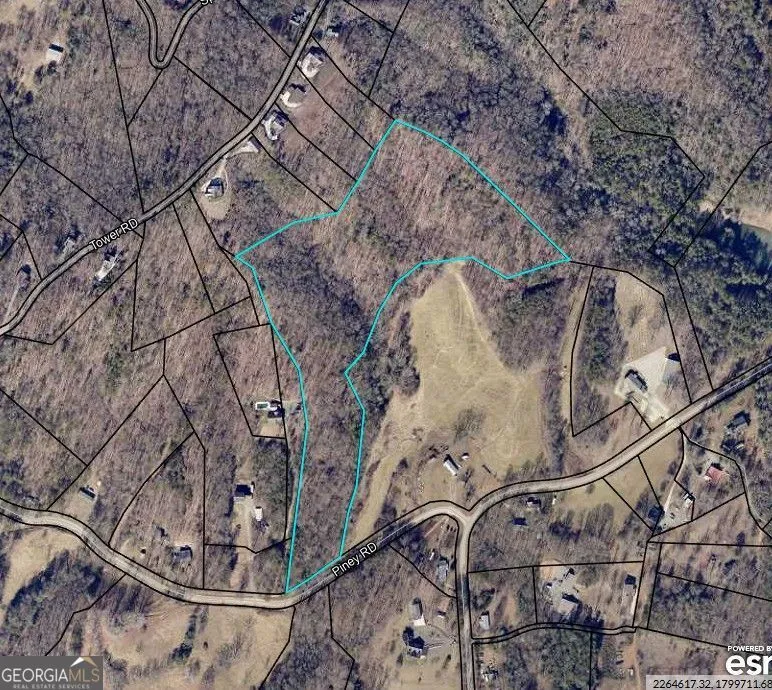 0 Piney RD Mineral Bluff, GA 30559