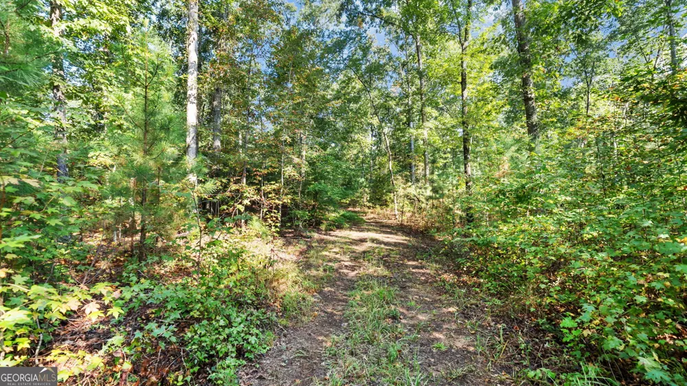 2987 Steele RD Griffin, GA 30223