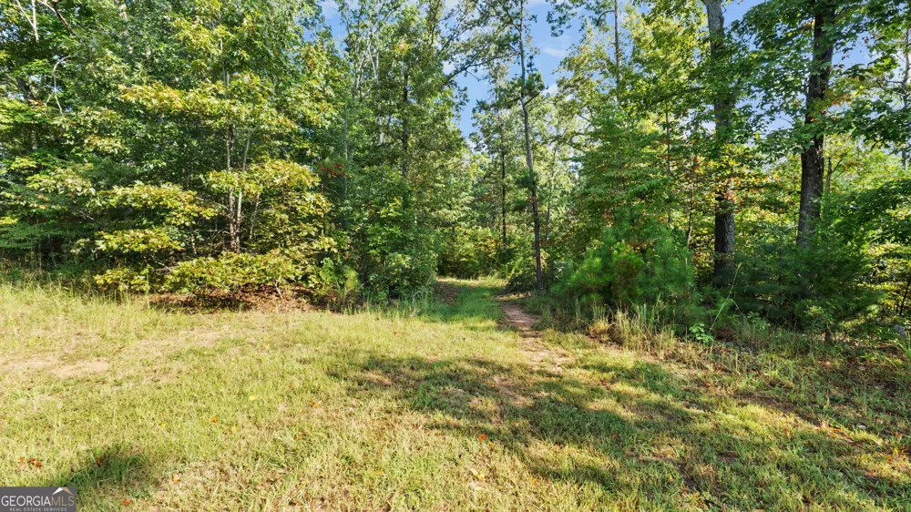 2987 Steele RD Griffin, GA 30223