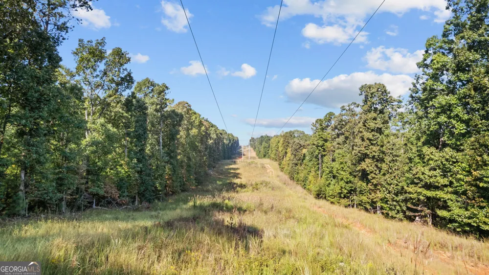 2987 Steele RD Griffin, GA 30223