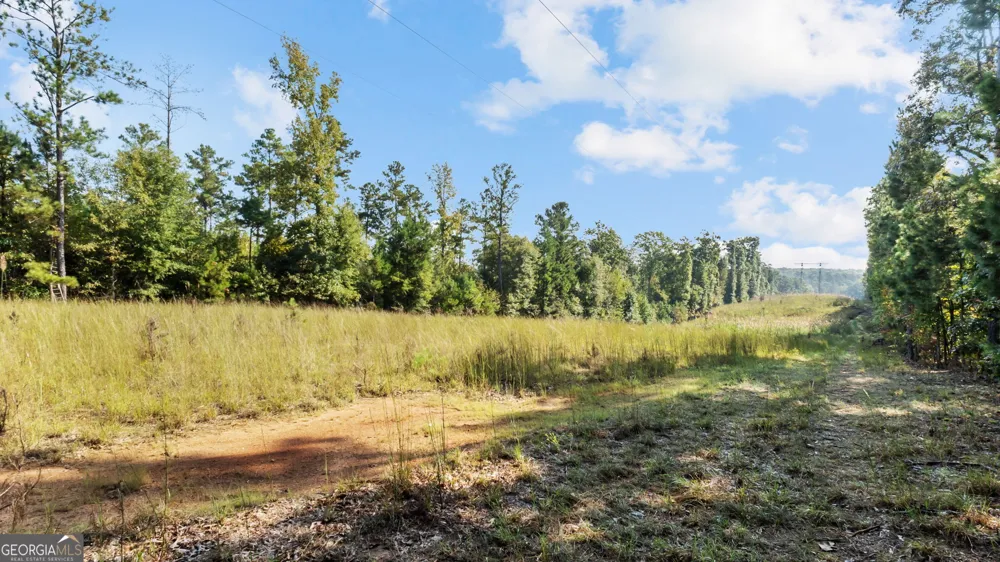2987 Steele RD Griffin, GA 30223
