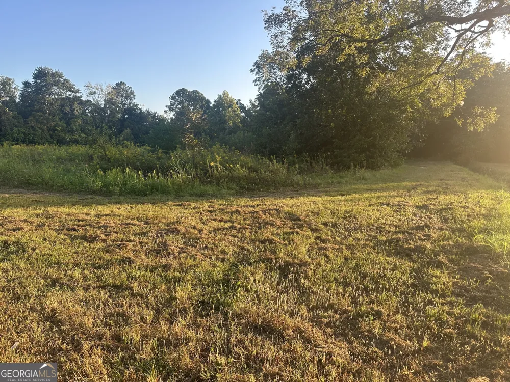 305 Mary ST Dublin, GA 31021