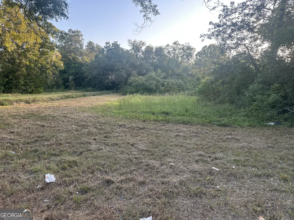 305 Mary ST Dublin, GA 31021