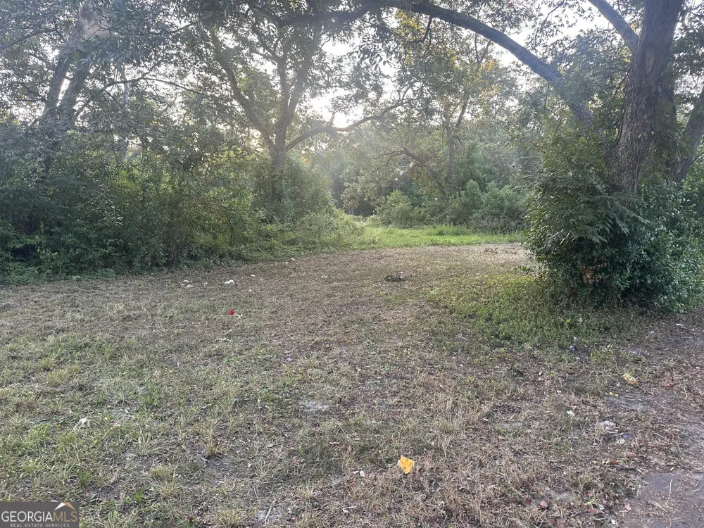 305 Mary ST Dublin, GA 31021