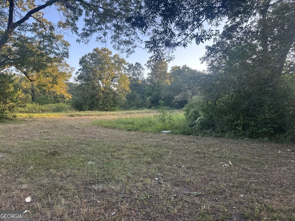 305 Mary ST Dublin, GA 31021
