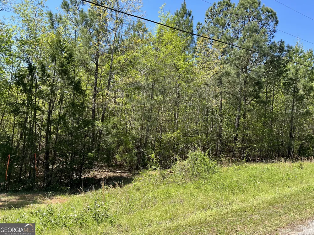 LOT 36 Omaha DR Elberton, GA 30635