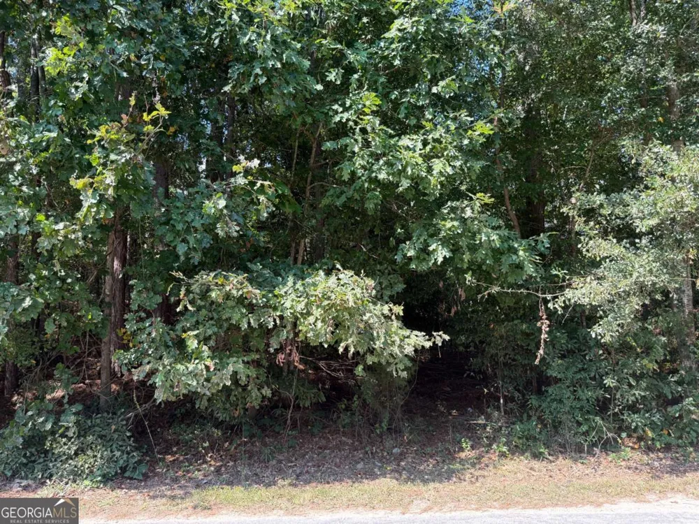 2392 Lakeshore DR NE Conyers, GA 30012