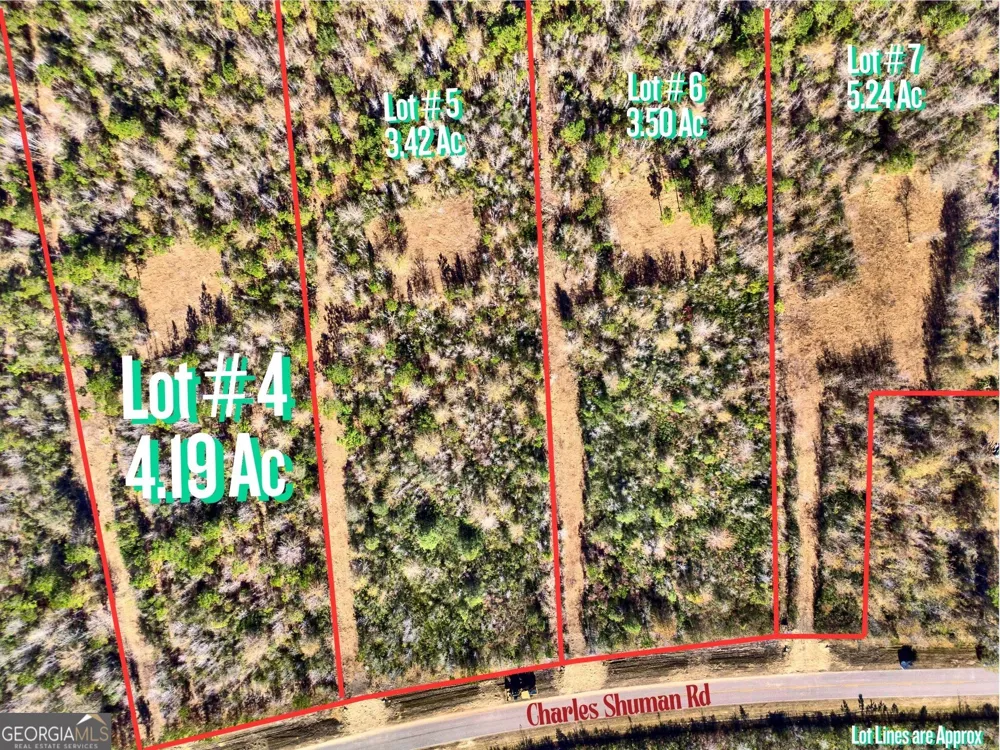 LOT 4 Charles Shuman RD Pembroke, GA 31321