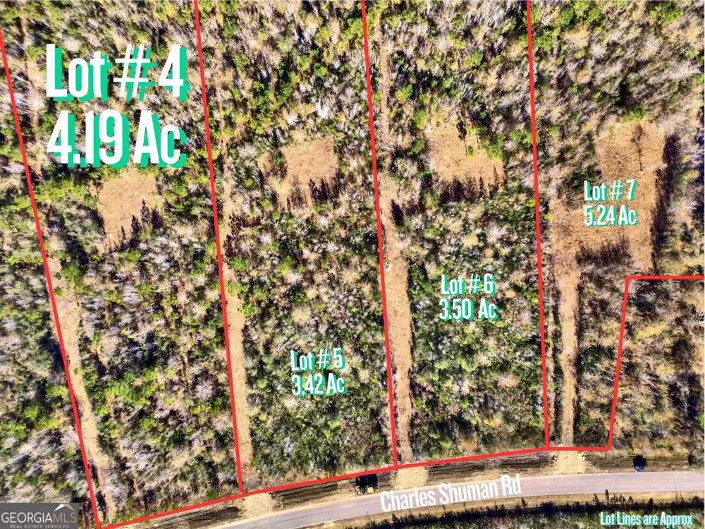 LOT 4 Charles Shuman RD Pembroke, GA 31321