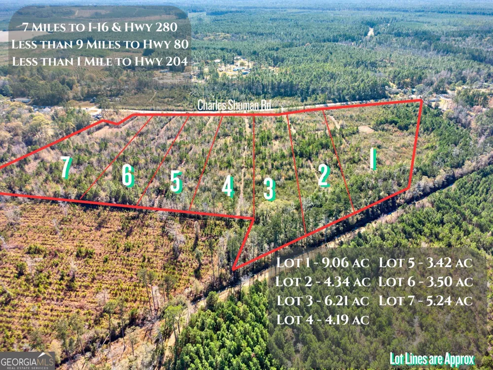 LOT 4 Charles Shuman RD Pembroke, GA 31321