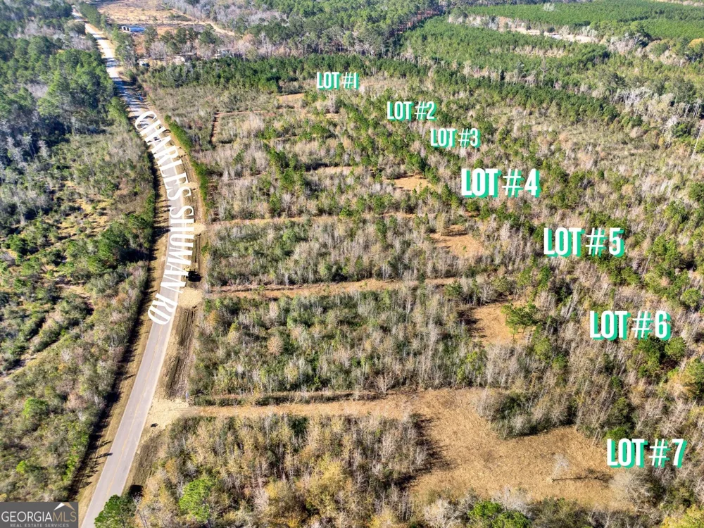 LOT 4 Charles Shuman RD Pembroke, GA 31321