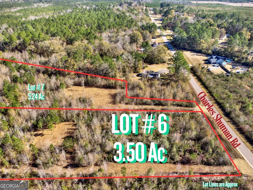 LOT 6 Charles Shuman RD Pembroke, GA 31321