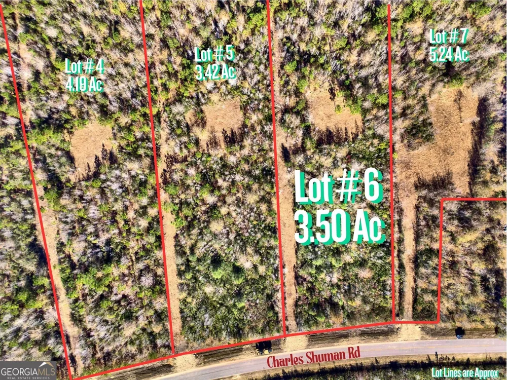 LOT 6 Charles Shuman RD Pembroke, GA 31321