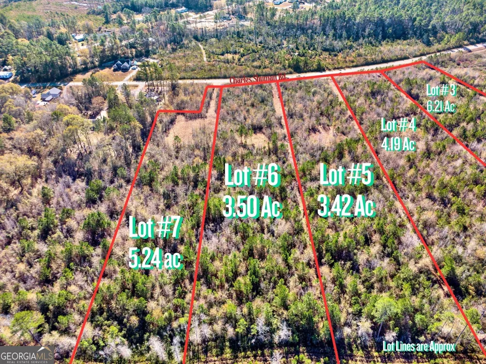 LOT 6 Charles Shuman RD Pembroke, GA 31321