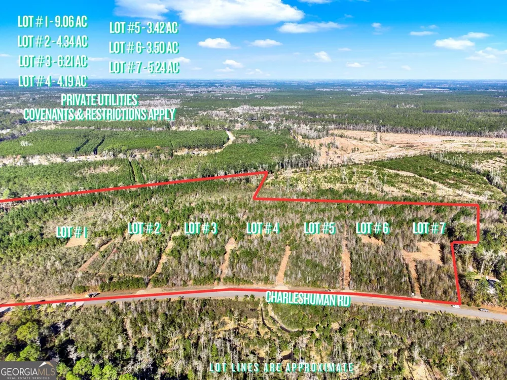 LOT 6 Charles Shuman RD Pembroke, GA 31321
