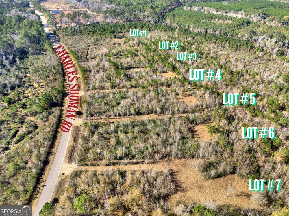 LOT 6 Charles Shuman RD Pembroke, GA 31321