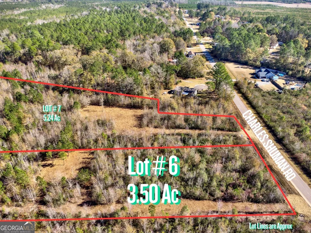 LOT 6 Charles Shuman RD Pembroke, GA 31321